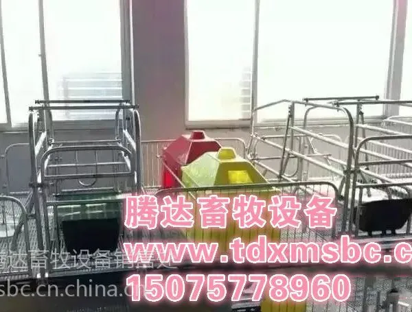 腾达供应优质加重母猪产床2.1x2.6规格母猪产床防止压死小猪