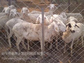 长春饲养牛羊专用养殖铁丝网@圈羊群用哪种养殖铁丝网