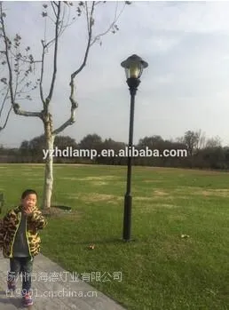 海德JC010国家著名景区景观灯 道路照明灯