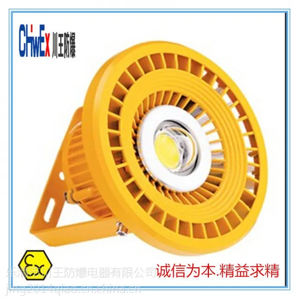 厂家直销BLED9107免维护10-120W(LED)防爆灯 -防爆灯