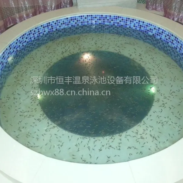 供应游泳池/SPA水疗池/温泉泡池/别墅泳池/冲浪池