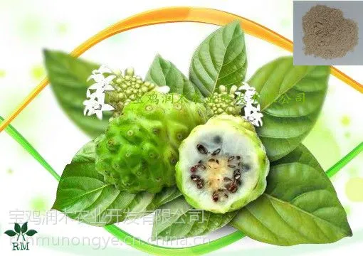 宝鸡润木 供应 诺丽果提取物 诺丽果粉 全水溶