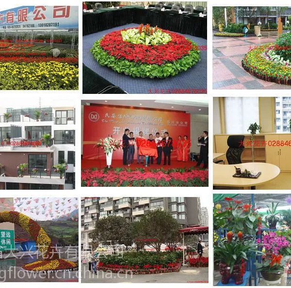 ��Ӧ�ɶ�����ֲ������,���⣬ȥ��Ⱦ����������