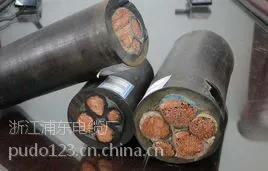 YZ、YZW3*6中型橡套电缆 水泵电源线.