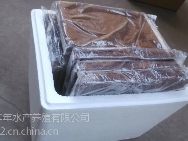 供应丰年虫成虫/丰年虾/大卤虫/观赏鱼天然饵料/鱼食/天津厂家