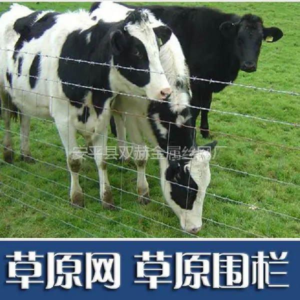 双赫供应 牛栏网规格 1.2米畜牧圈养网