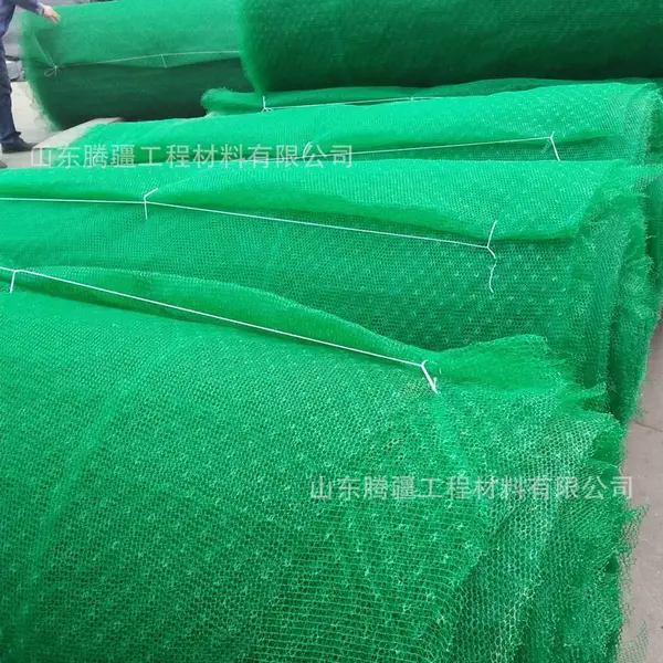 腾疆生产三维植被网固土加筋三维网绿化护坡EM2-EM5各种土工材料