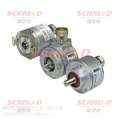 �¹�Lenord Bauer������