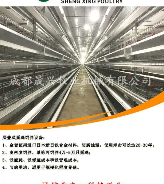 晟兴牧业定制各类型养鸡设备,鸡笼,全自动养鸡设备,蛋鸡设备