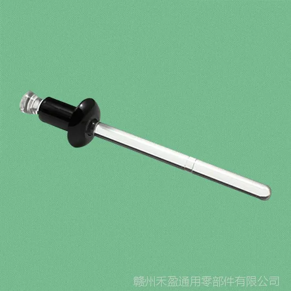 黑色抽芯铆钉 铝制拉铆钉 塑料头铆钉 专业生产 质量***CR32-2-1
