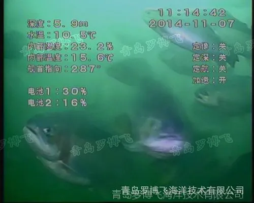 大型网箱养殖视频监控,专用的拖航式高清水下摄像机,网箱养鱼观测设备