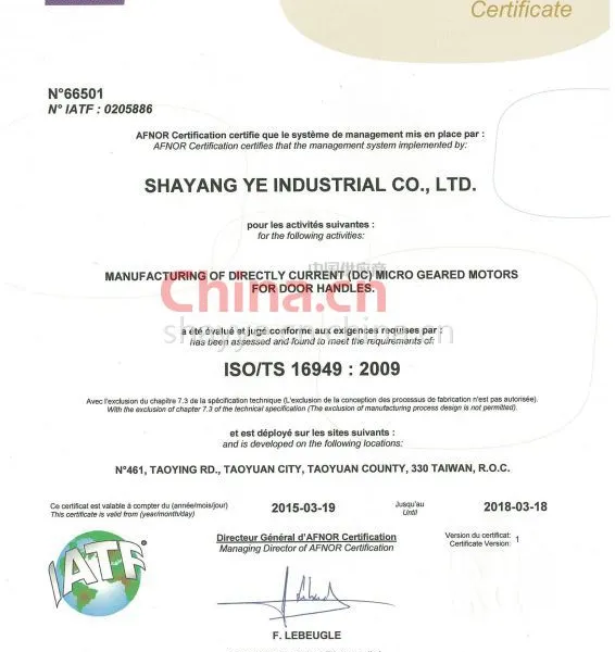 ISO/TS16949:2009