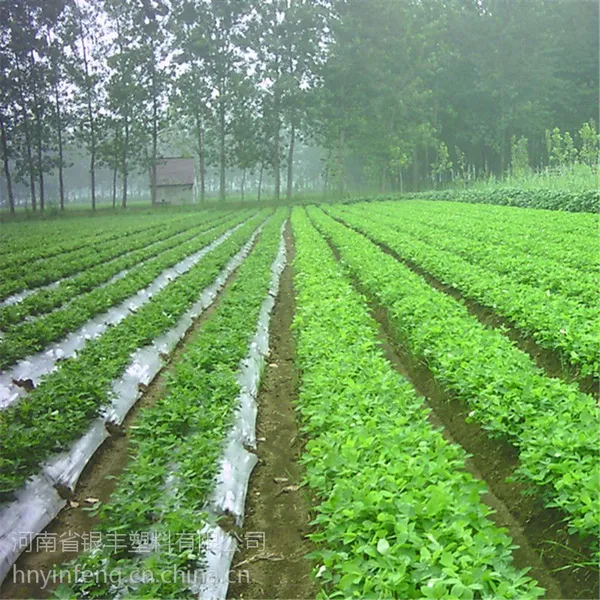 厂家批发农用塑料黑薄膜黑色地膜 白色地膜 除草专用黑地膜