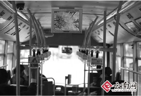 供应昆明七彩公交频道广告/昆明七彩公交广告/昆明七彩公交频道