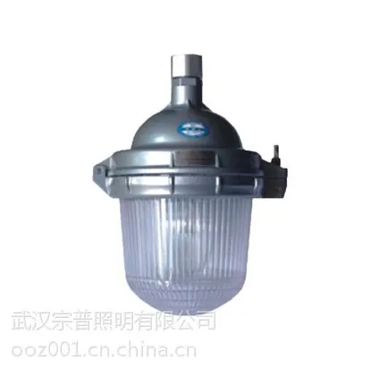 海洋王NFE9112防眩应急泛光灯
