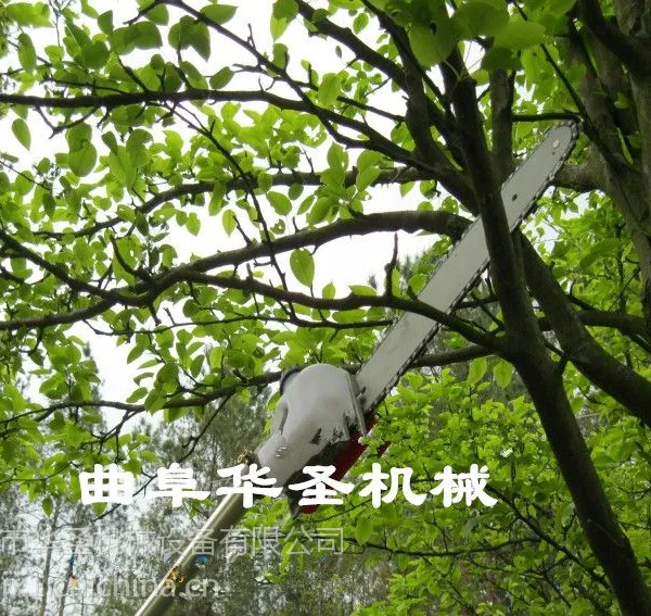 Ӧ�ù㷺��֦�� ***��֦�� ȼ�Ͷ�����֦��