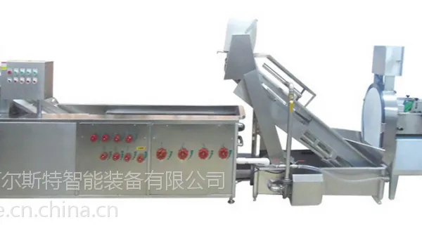 苏州厂家直供阿尔斯特涡流式洗菜机LWX-108多功能切菜机洗菜机