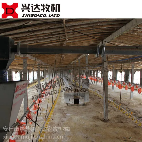 养鸡料线肉鸡料线 养鸡设备兴达牧机厂家直销