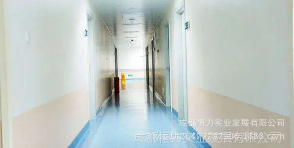 四川绵阳墙布(墙面材料) 墙布康洁加强 洁福PVC塑胶地板