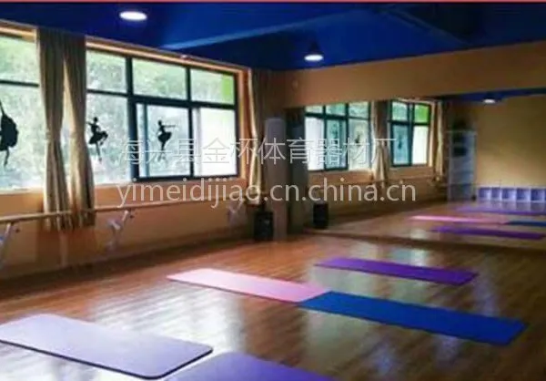 供应江西舞蹈教室舞蹈把杆 压腿杆 练习把杆