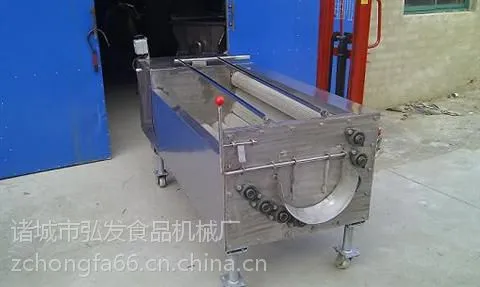 ��Ӧ�뷢������ϴȥƤ�� ëˢ��ϴȥƤ��