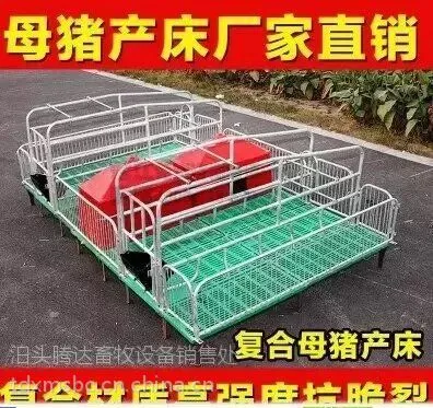 厂家批发高培复合母猪产床养殖厂猪床
