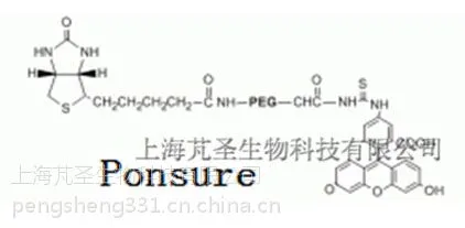 ӫ���ؾ��Ҷ���������,FITC-PEG-Biotin