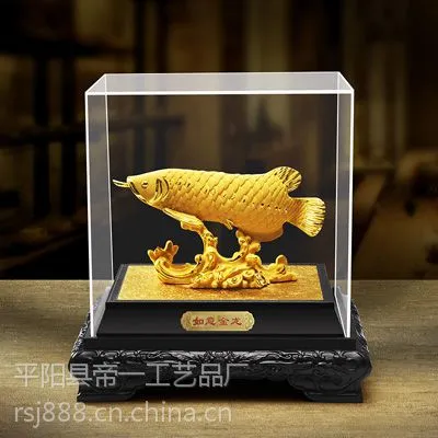 绒沙金金龙鱼