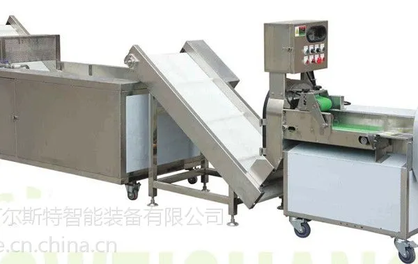 厂家直销全机优质不锈钢苏州阿尔斯特连续式瓜果毛刷清洗脱皮机(LWX-106)