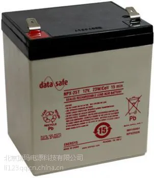 英国霍克NPX25T原装正品蓄电池