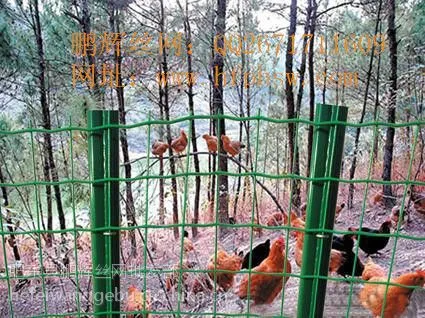 淮北园林护栏网(1.5*30 )A