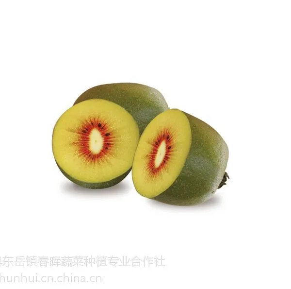 东红猕猴桃苗 猕猴桃种苗