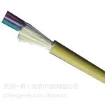 供应厂家供应GYTS-12B1光缆 北京GYTS-12B1光缆详情