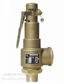 安全阀A28W-16T DN65