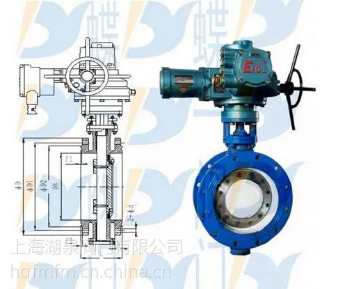 Q�ͷ����綯�������� D9B43H-10C DN100 ��ھ�������������