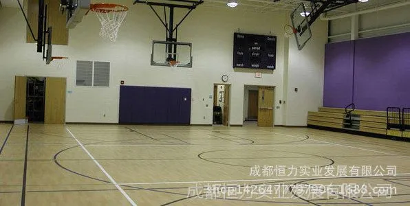 遂宁休闲运动地板 运动乐动30 洁福Gerflor多功能运动地板