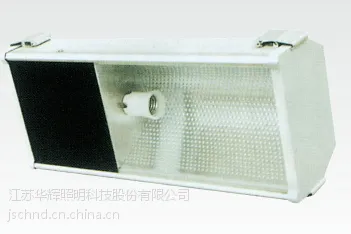 供应华辉照明隧道灯HTG206系列