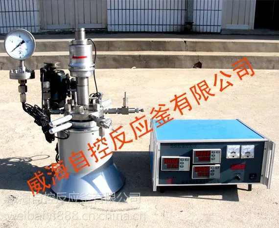 供应自控 实验微型高压反应釜 WHF型
