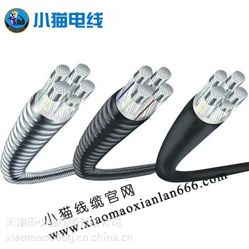 小猫电缆小猫线缆锁铠合金电缆www.xiaomaoxianlan666.com