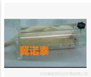 小鼠固定器/大小鼠固定器/小白鼠固定器/小鼠尾静脉注射固定器