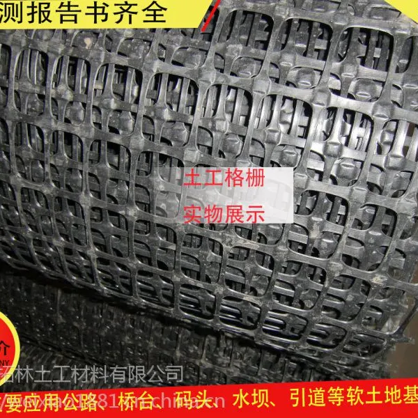 道路养护塑料土工格栅专业生产厂家蔬菜支架网养殖网厂家直销
