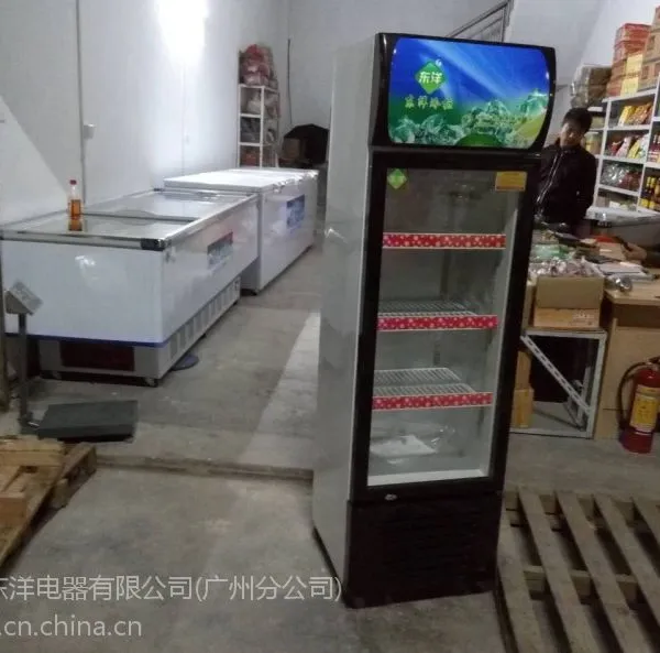 冷藏柜尺寸 广州东洋单门冷柜多少钱 立式保鲜柜LG-380B