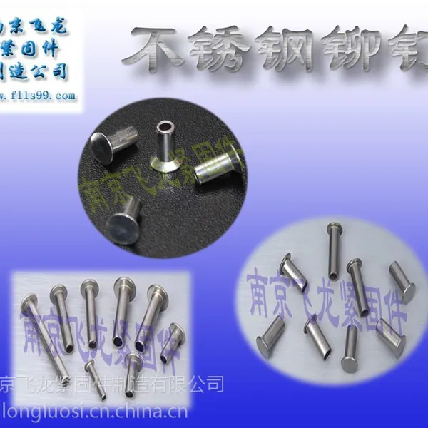 供应南京飞龙不锈钢铆钉生产厂家