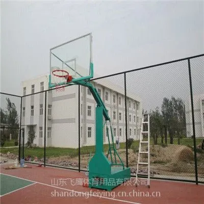 篮球架家用便携式折叠篮球架车载篮球架