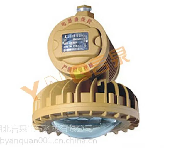 BLD220-40W BLD220防爆led平台灯