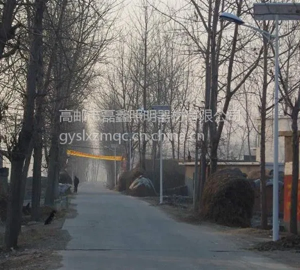 磊鑫照明供应6米现货路灯 批发定制各式道路照明路灯 毛坯杆批发