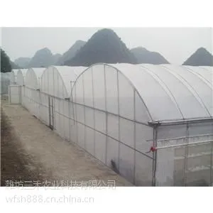 连栋蔬菜温室大棚建设