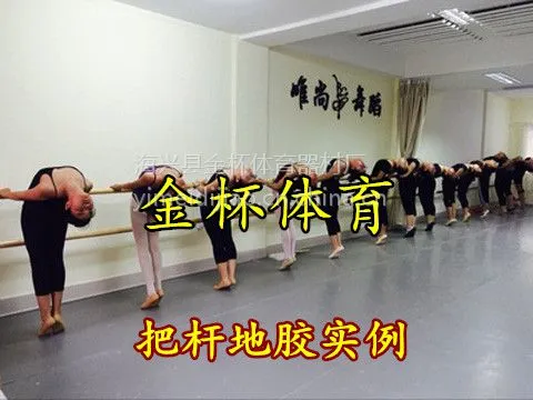 烟台舞蹈地胶 幼儿园地胶 舞蹈地胶舞台地板