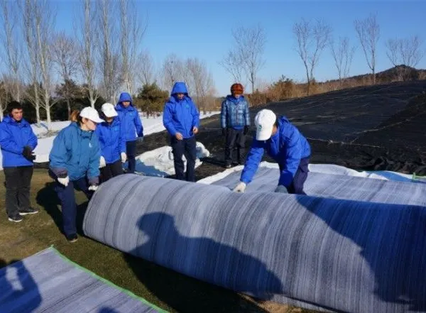 供应供应全国各地优质果岭被 ,价格合理