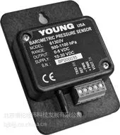 美国R.M.YOUNG 61302L/61302V大气压力传感器